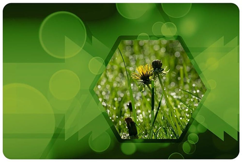 Biodiversität und Klimaschutz