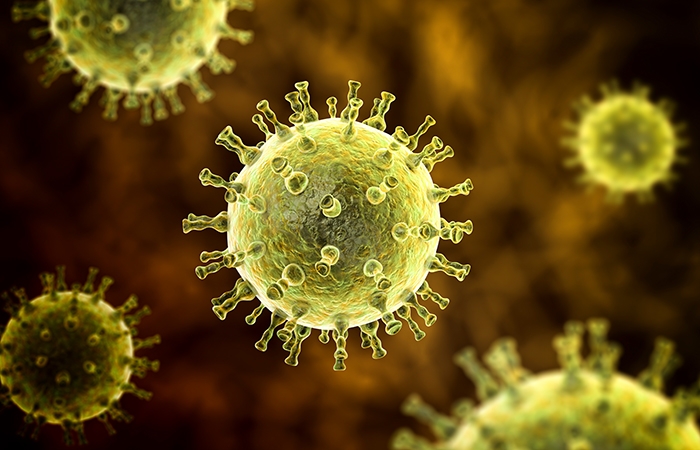 Varizellen Virus | Foto: Getty