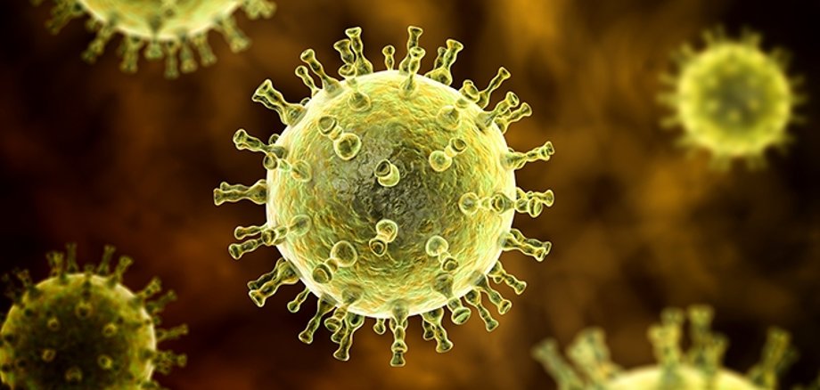 Varizellen Virus | Foto: Getty