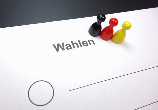 Spielfiguren (schwarz-rot-gold) auf einem Wahlzettel