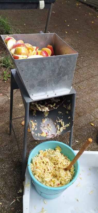 Saftpresse im Einsatz mit Äpfeln