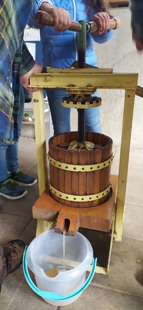 Saftpresse im Einsatz mit Äpfeln