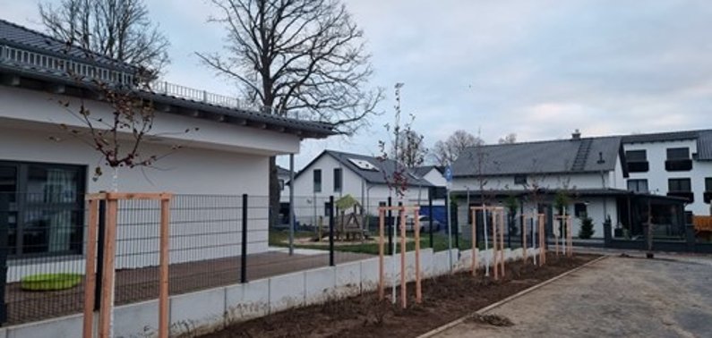 Neu eingepflanzte Zierapfel-Baumreihe am Parkplatz der Kita An den Lindenbäumen Neu eingepflanzte Zierapfel-Baumreihe am Parkplatz der Kita An den Lindenbäumen