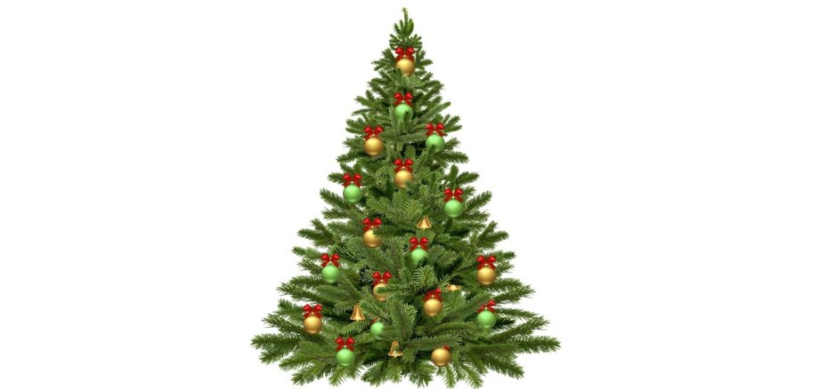 Weihnachtsbaum Weihnachtsbaum