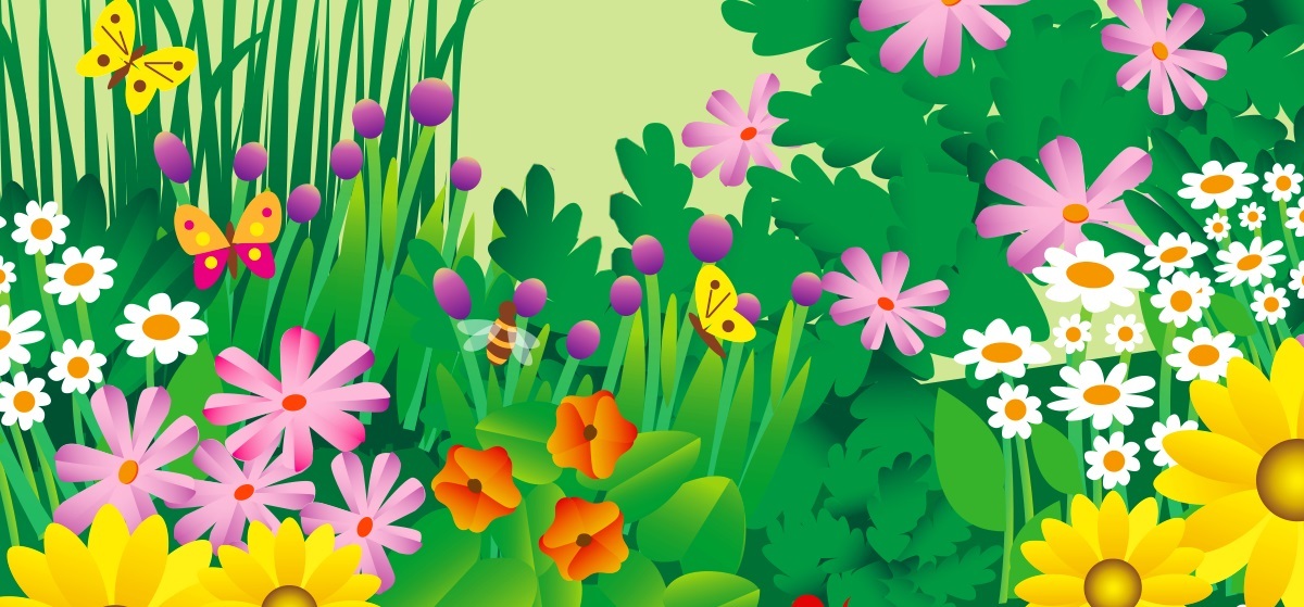 Blumenwiese mit Insekten