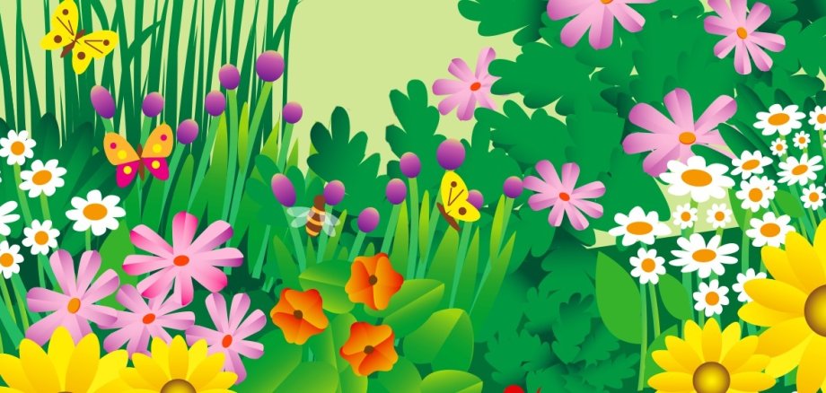 Blumenwiese mit Insekten