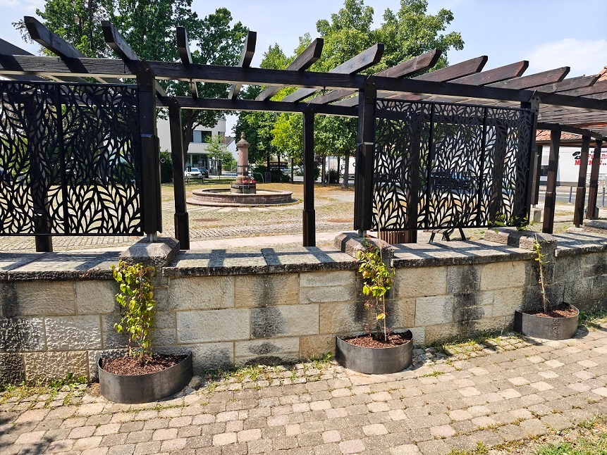 Pergola auf dem Rathausplatz