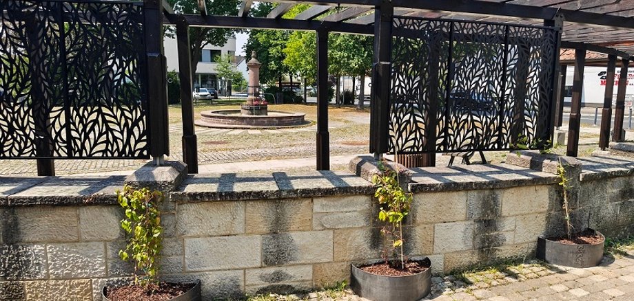 Pergola auf dem Rathausplatz Pergola auf dem Rathausplatz