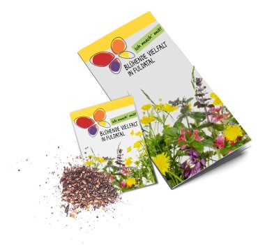 Flyer und Samentütchen