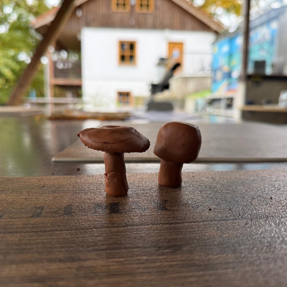 Naturkundlicher Rundgang - Welt der Pilze