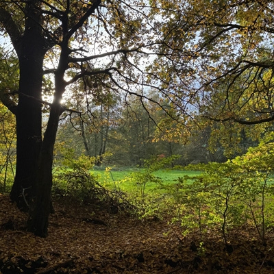 Familienveranstaltung: Expedition Wald