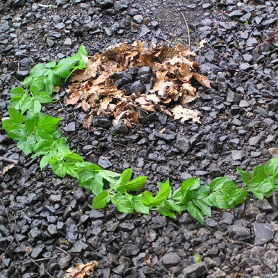Ferienveranstaltung: LandArt – Herbstfest der Feenkönigin